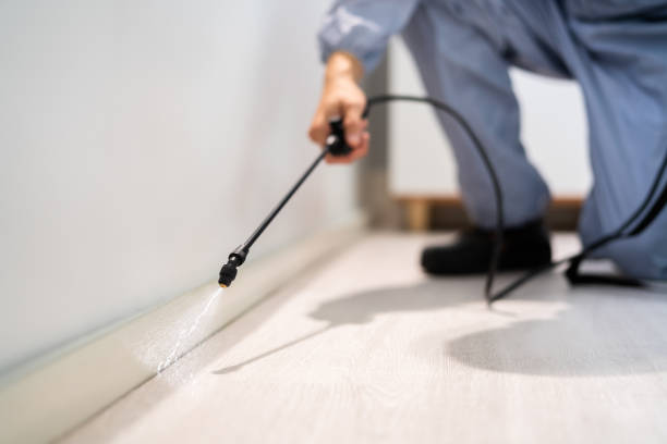 Licensed Termite Control service in Rolling Hills, CA - Nex Pest Control