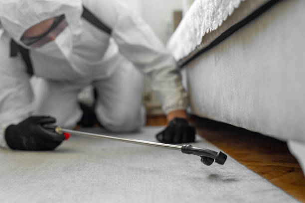 Professional Termite Control technician working in Rolling Hills, CA