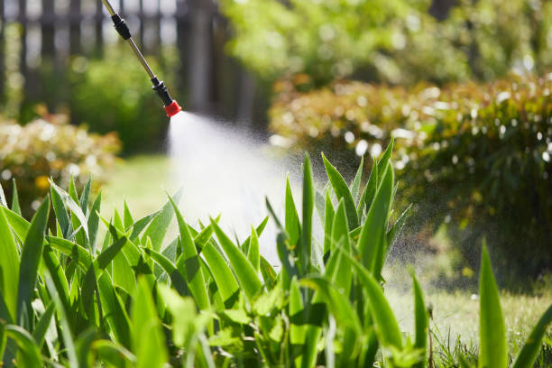 24/7 Emergency Termite Control experts in Rolling Hills, CA
