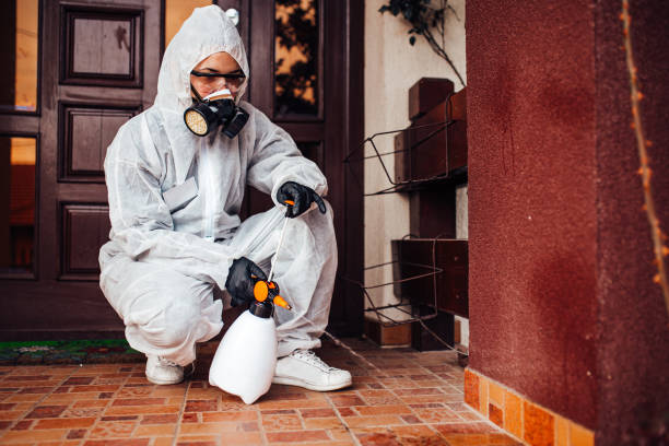 Reliable Termite Control contractor in Rolling Hills, CA by Nex Pest Control